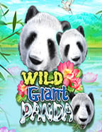 เทคนิคเล่น สูตร บา คา ร่า ufa 1988 ที่ได้เงินจริง